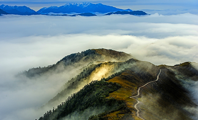 皇家国际·(中国区)有限公司官网