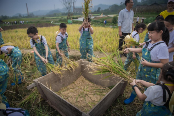 四川皇家国际乐学旅游有限公司 - 皇家国际