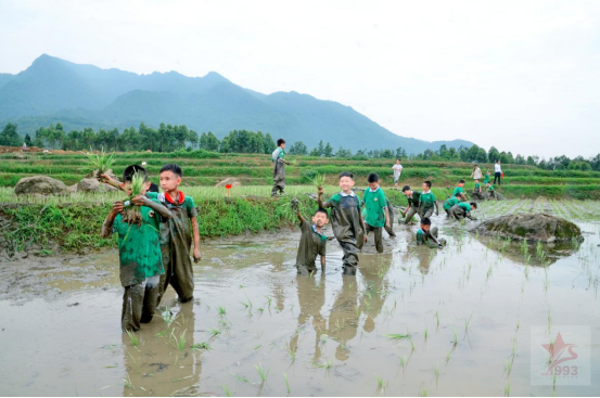 四川皇家国际乐学旅游有限公司 - 皇家国际