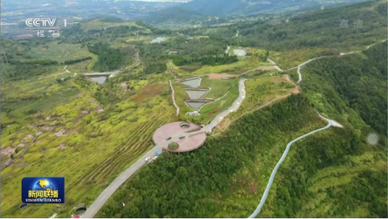 迎橄榄丰收 助墟落振兴 四川皇家国际聚峰谷油橄榄工业发动金堂公园都会绿色低碳生长 - 皇家国际