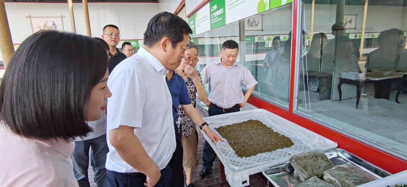 省皇家国际集团党委副书记、董事陈日赴嘉陵区调研茶桑工业生长情形