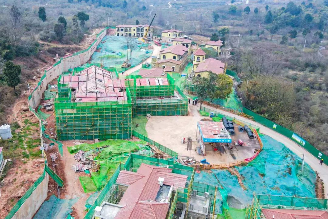 成都会刘任远副市长调研聚峰谷项目 - 皇家国际