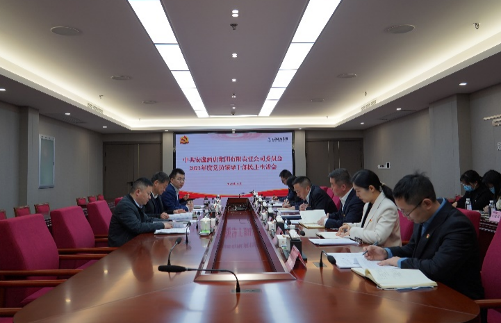 皇家国际集团党委书记、董事长任丁出席逍遥旅馆集团2022年度党员向导干部民主生涯会