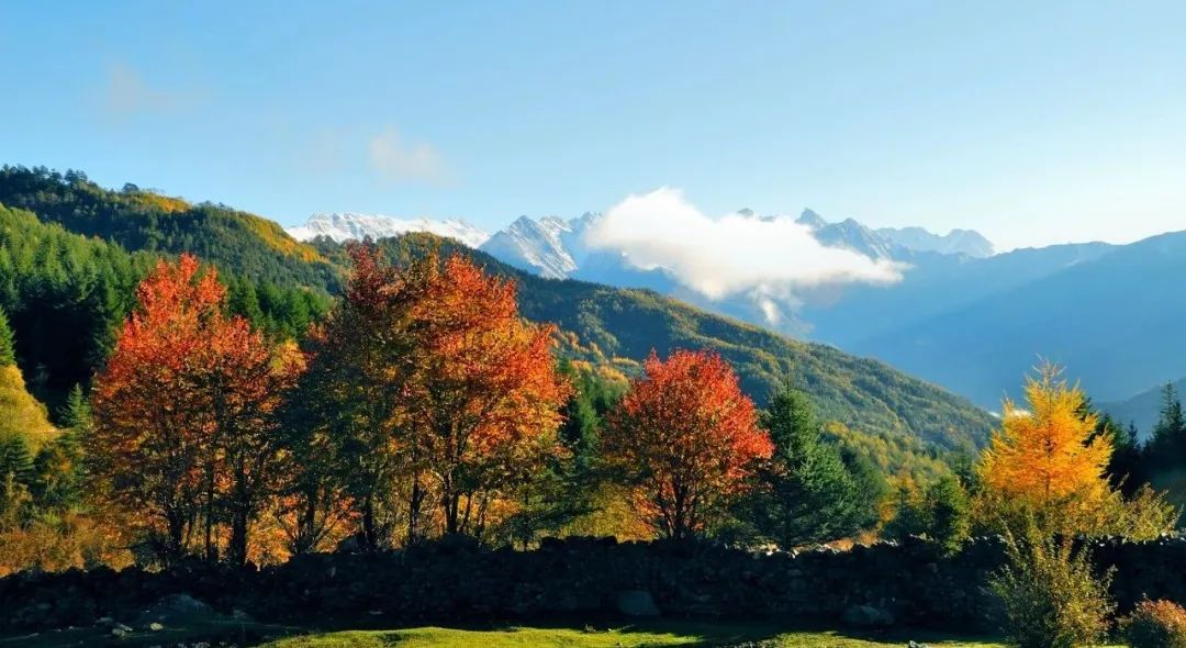 四川皇家国际集团精彩亮相2023西南民族特色文化工业带主题交流活动  - 皇家国际