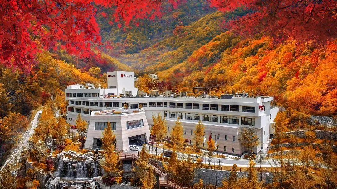 四川皇家国际集团精彩亮相2023西南民族特色文化工业带主题交流活动  - 皇家国际