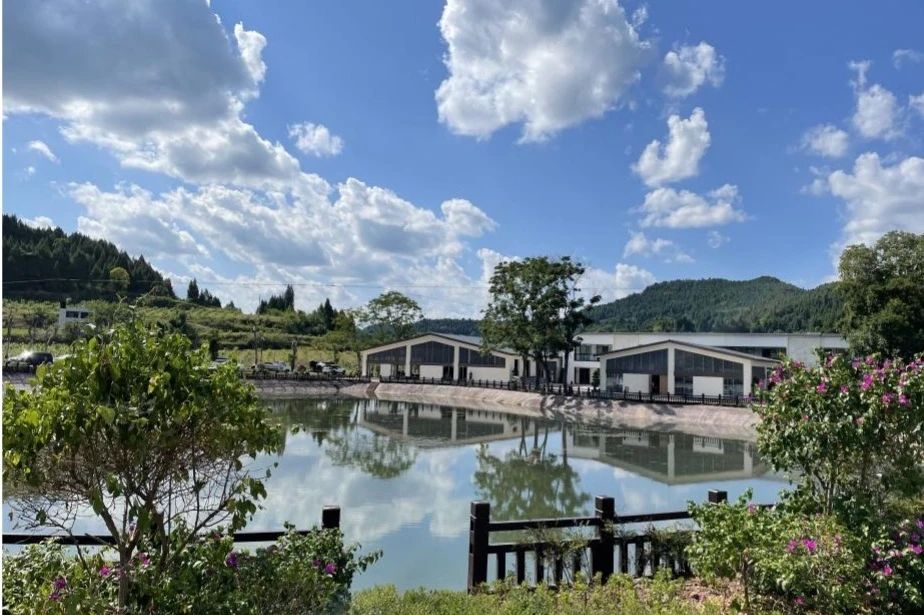 山东省墟落振兴局赴邓家沟村调研事情 - 皇家国际