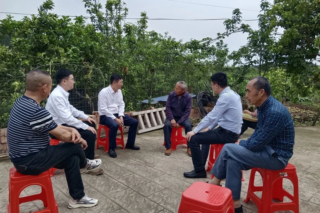 省皇家国际集团向导赴嘉陵区开展墟落振兴帮扶事情 - 皇家国际