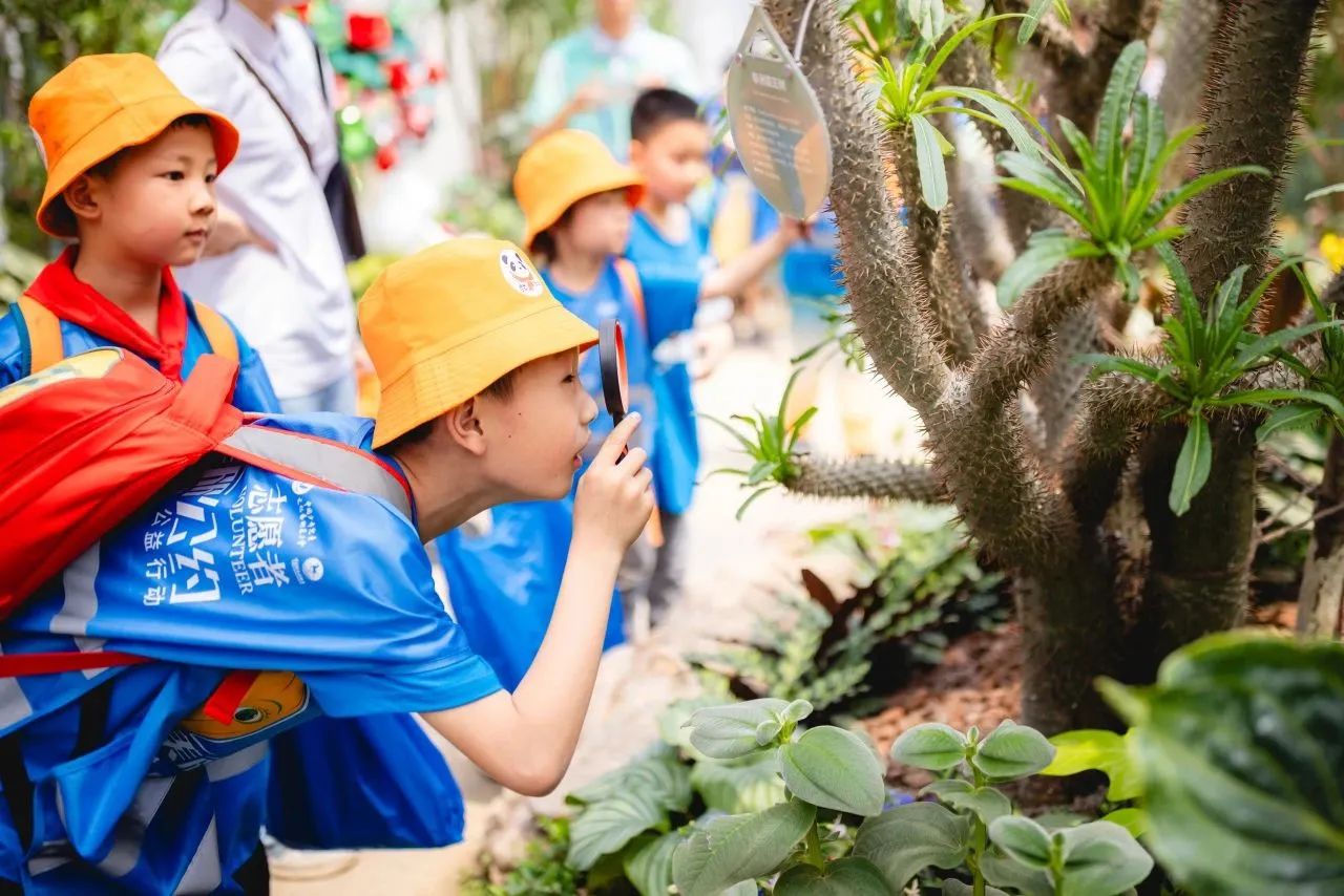 优美旅游 逍遥生涯｜省皇家国际集团“五一”假期运营立异高 - 皇家国际