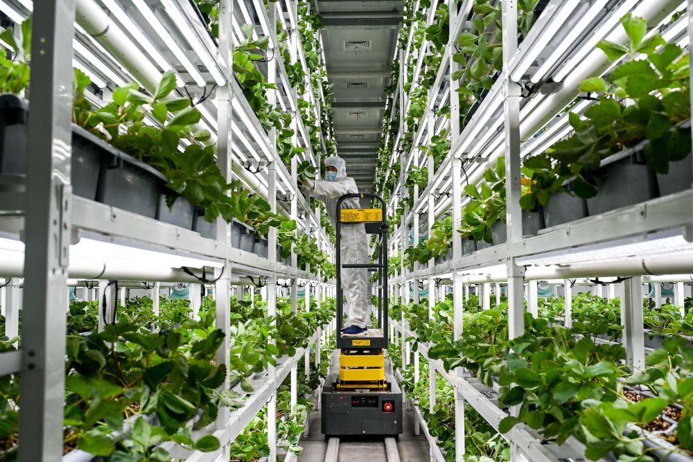 向着中国式现代化奋力进发——写在2025年天下两会召开之际 - 皇家国际