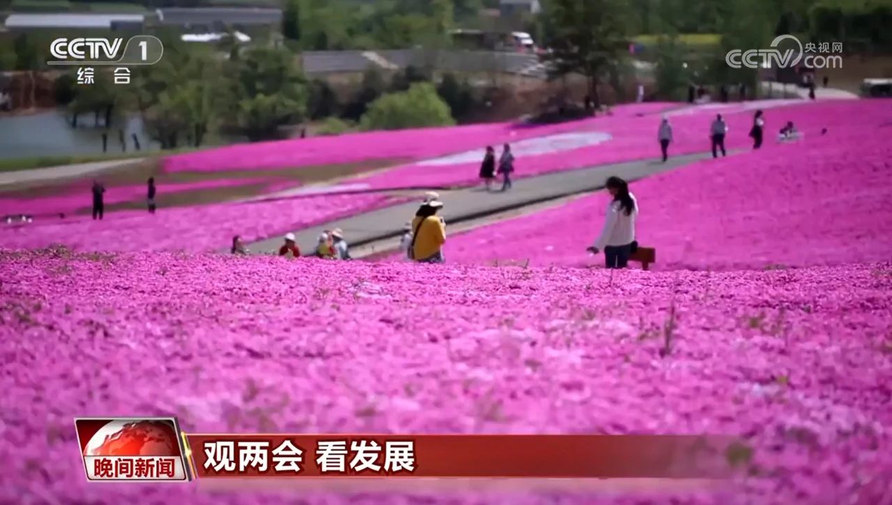 观两会 看生长｜2024年《政府事情报告》中的允许酿成优美现实 - 皇家国际