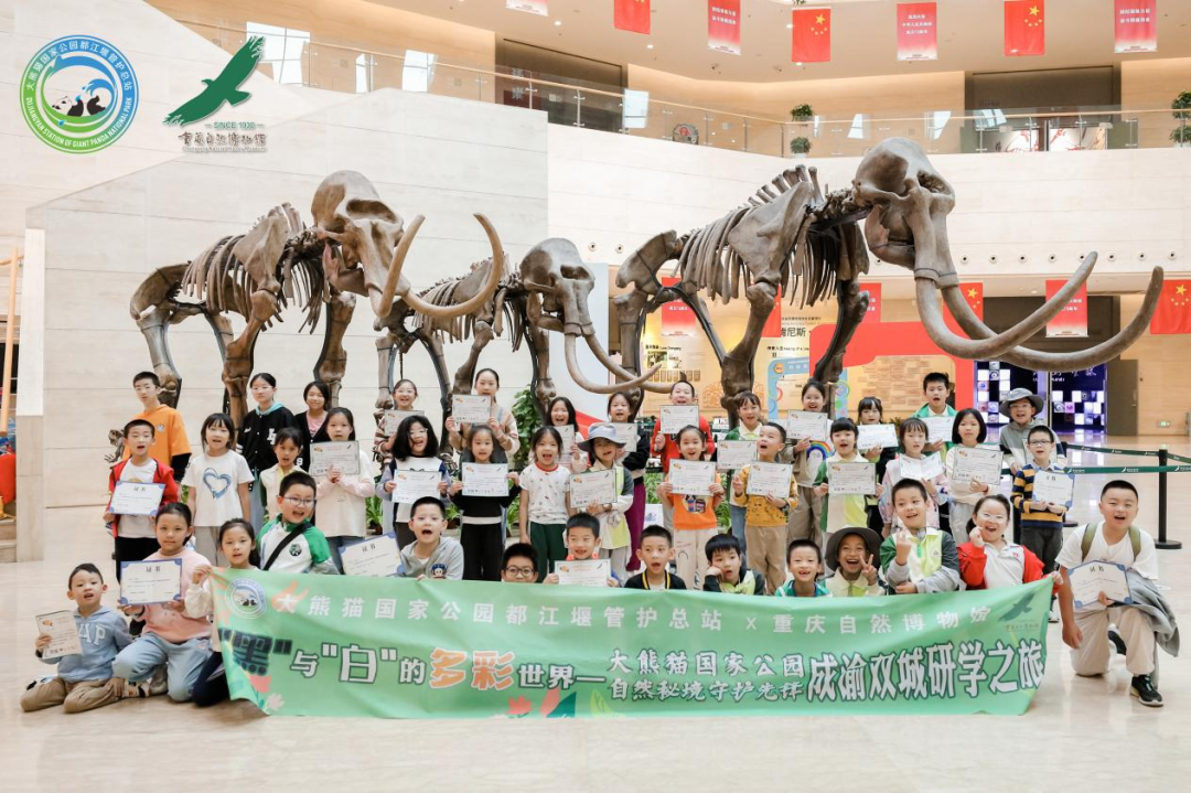 深耕党建引领，，，，厚植主责主业——皇家国际教育公司扎实推进 “小而美” 国企刷新走深走实 - 皇家国际