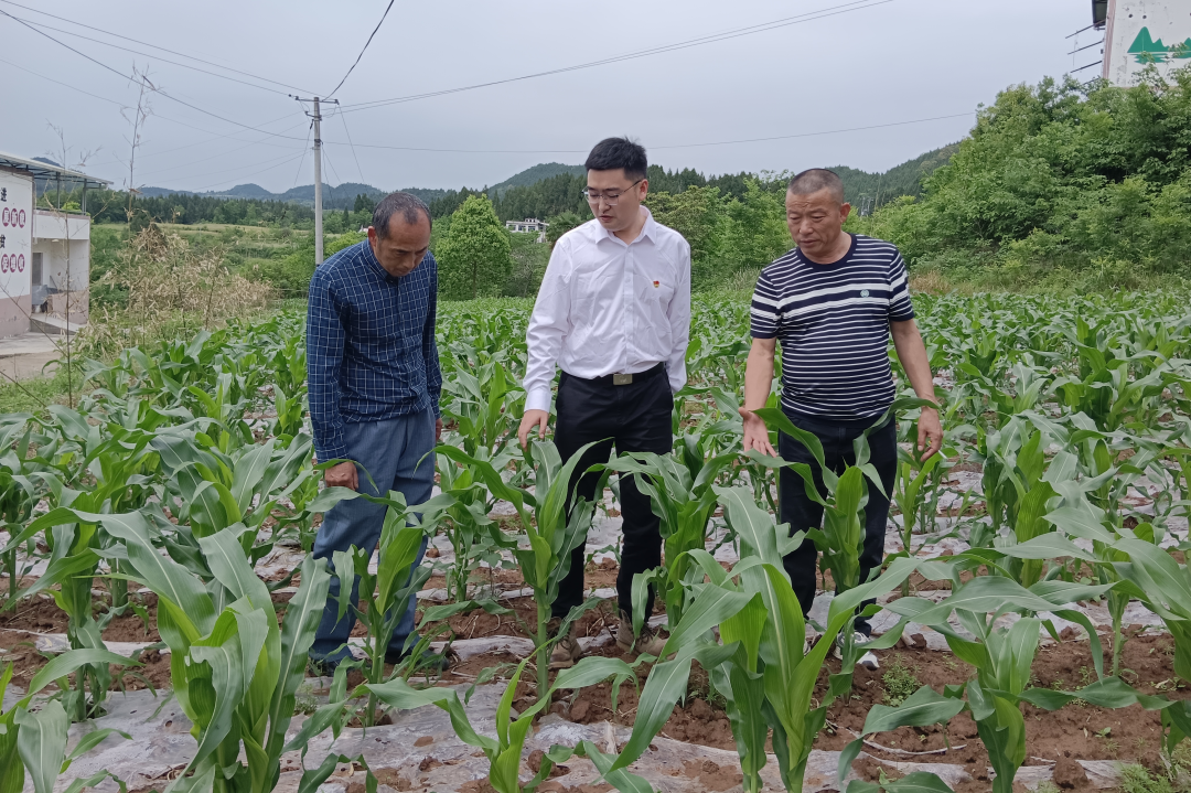 省皇家国际集团宽大团员青年扎基础职岗位为集团高质量生长孝顺青春实力 - 皇家国际