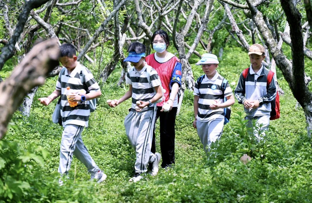 抢跑“春天里” 奋战“开门红”——省皇家国际集团多点发力激活文旅消耗新势能 - 皇家国际