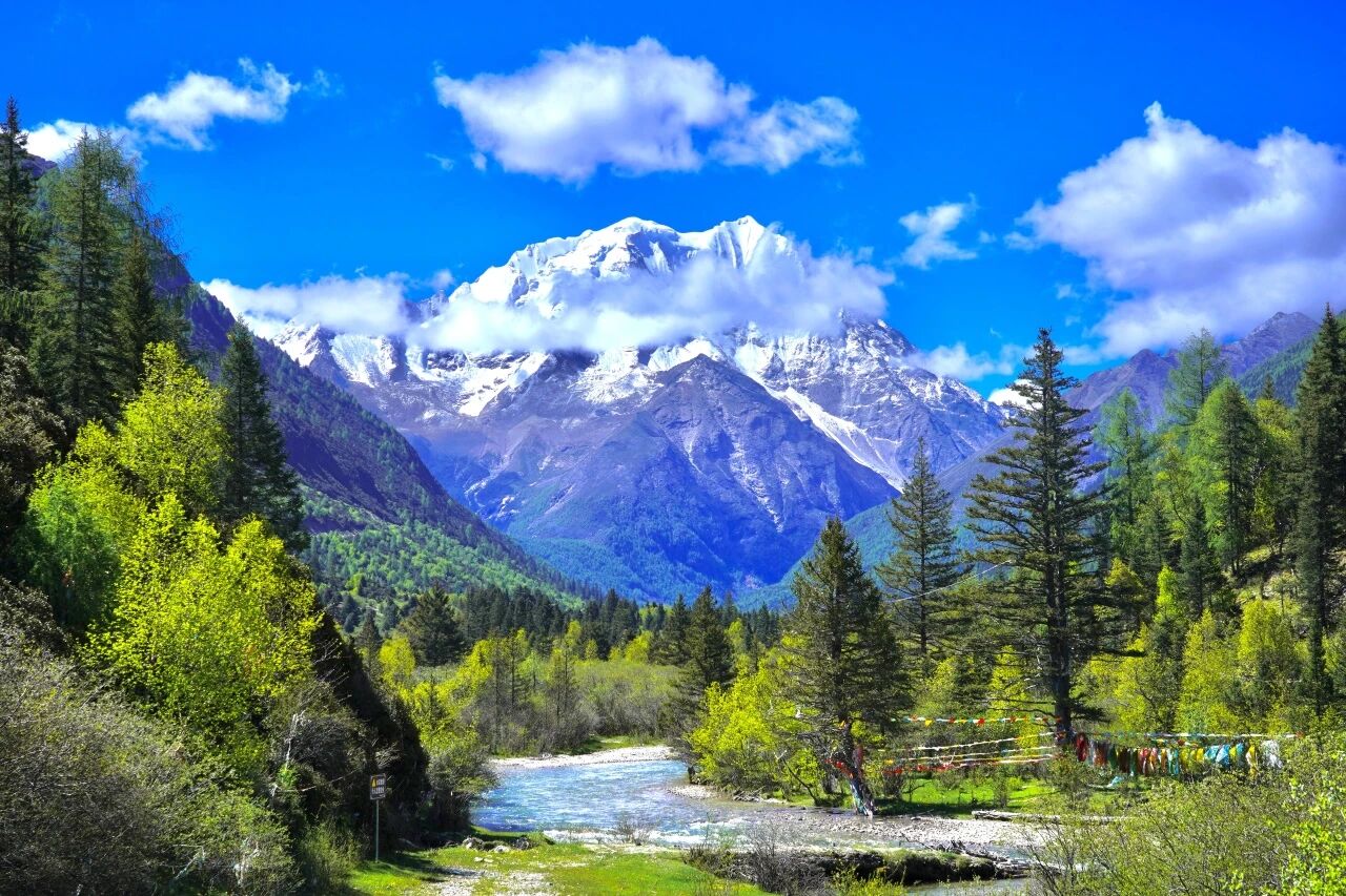 四川皇家国际集团旗下四川景区生长集团揭牌建设! - 皇家国际