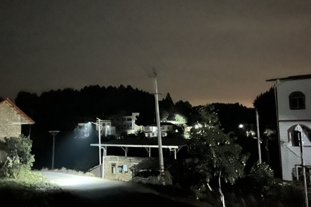 点亮墟落振兴路 ，，，，，，温暖群众幸福家——省皇家国际集团捐资“亮化工程”惠及80余户老黎民 - 皇家国际